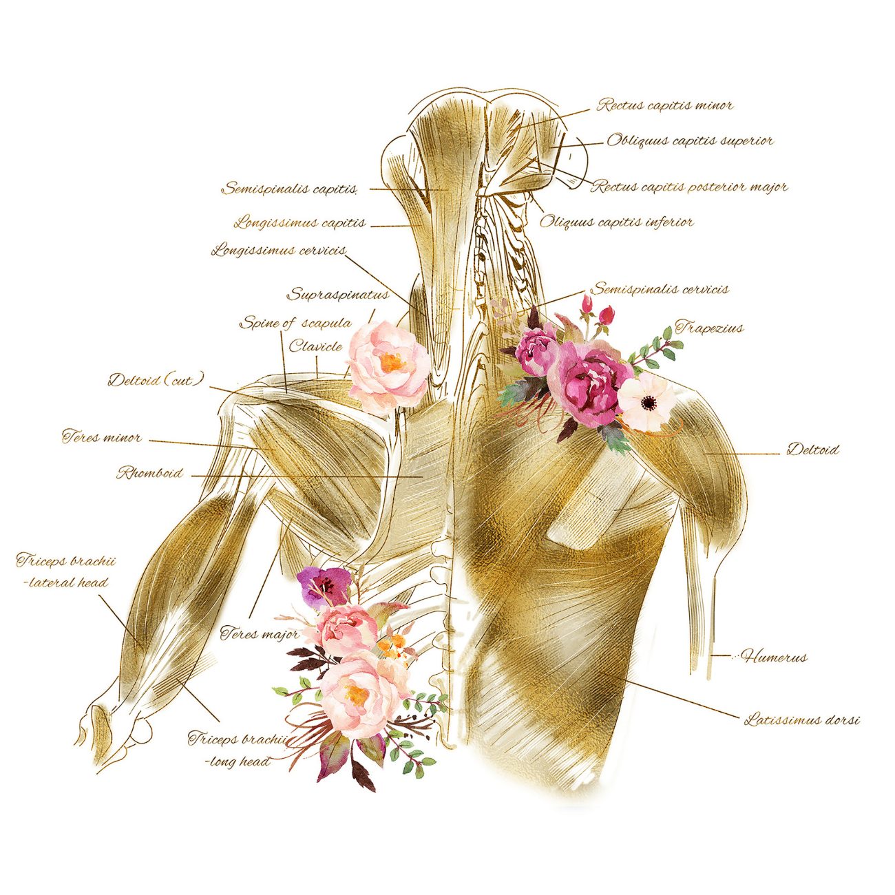 Relief Treatment Relief Retreat Muscle Therapy